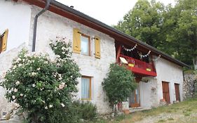 Chez Louve Bleue
